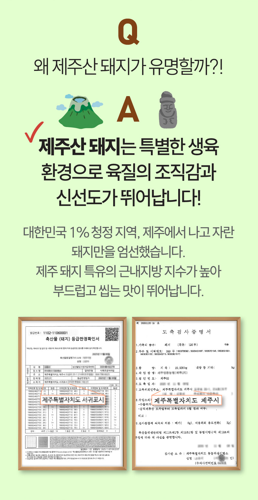 제주산 마늘양념 돼지칼집구이 400g 국내산 마늘