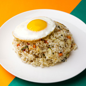 파향솔솔 대파볶음밥 210g x 10봉 즉석 간편식 냉동볶음밥